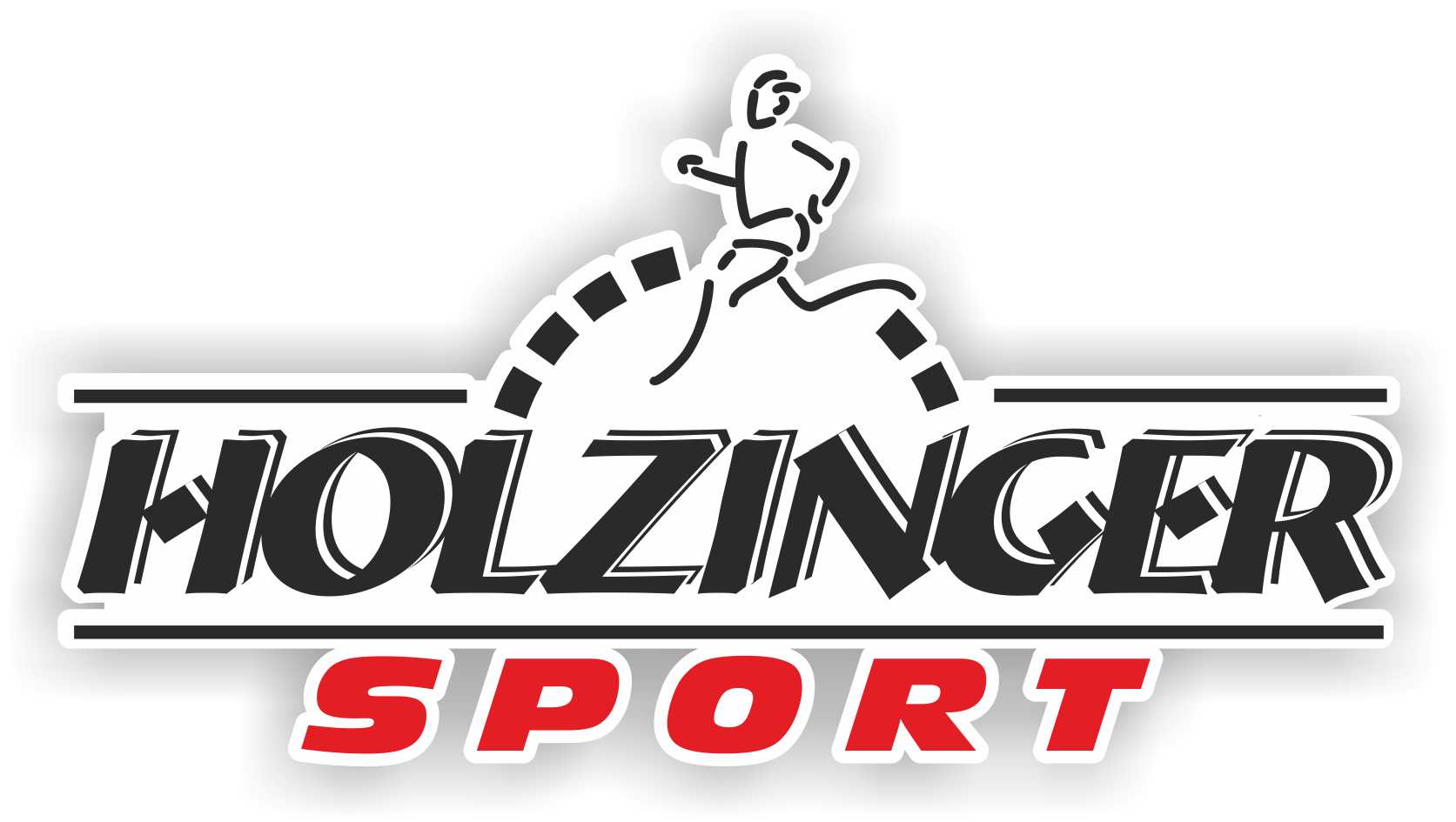 Logo-Holzinger-2012